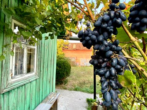 будинок за адресою Авдєєнка Генерала вул.