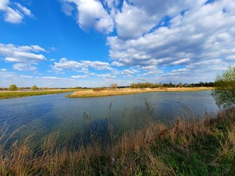 ділянка за адресою с. Трушки, центральна