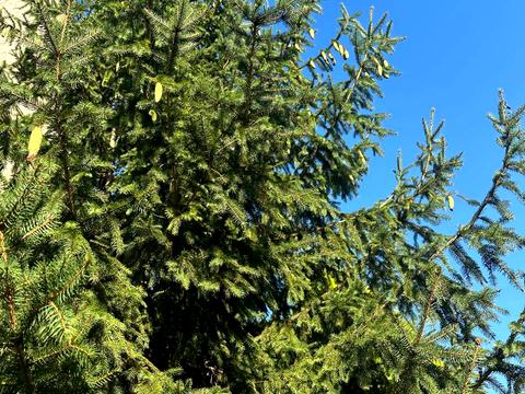 дом по адресу Октябрьская ул.