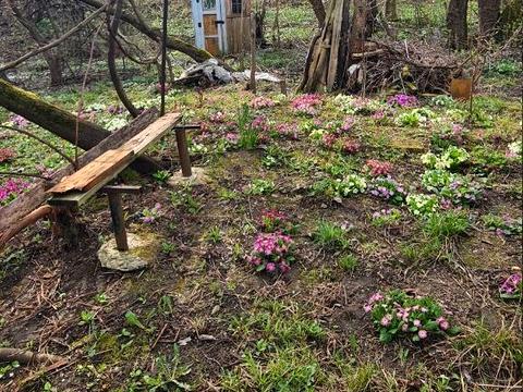 ділянка за адресою Заставнянська вул., 38