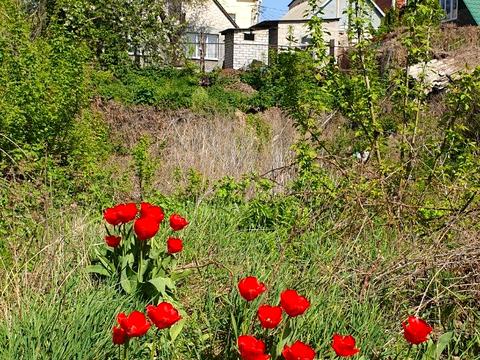 дом по адресу Леонтовича, 20