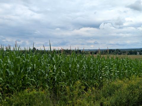 участок по адресу 