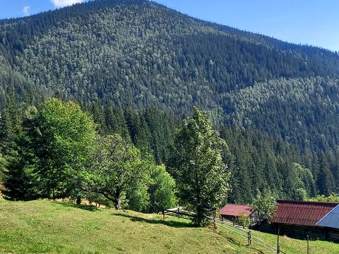 участок по адресу пгт. Верховина, 