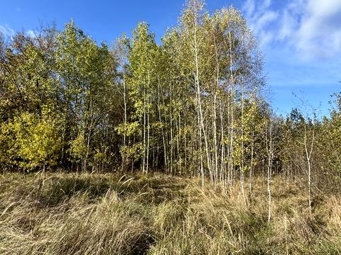 ділянка за адресою Чубаря