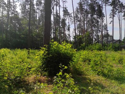 ділянка за адресою Котляревського
