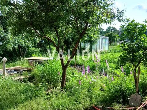дом по адресу Мелетія Смотрицького ул. (Пожарського), 8