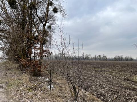 участок по адресу с. Иванковичи, 