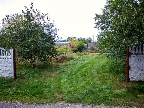 участок по адресу Супрунівка, 1