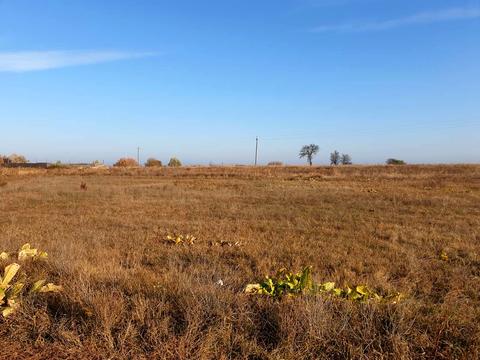участок по адресу Київська