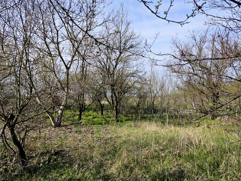 ділянка за адресою Ізумруд садове товариство, 407