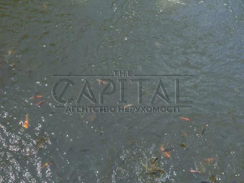 будинок за адресою фастівський