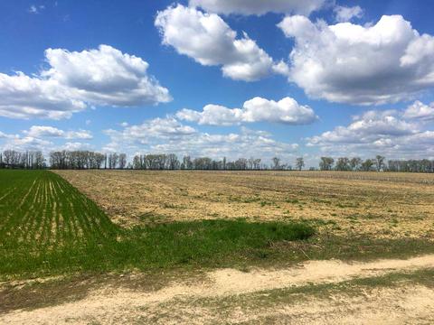 участок по адресу Лесі Українки