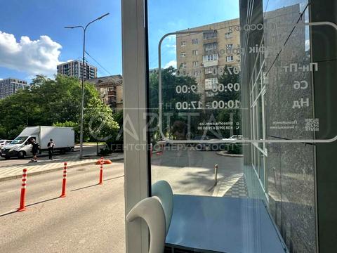 комерційна за адресою Василя Тютюнника вул. (Анрі Барбюса), 51/1А