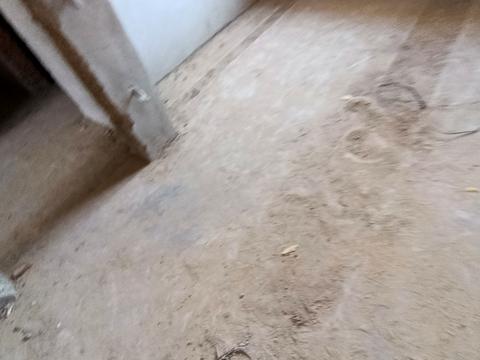 будинок за адресою Пров.Світлий