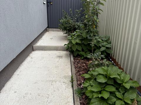 дом по адресу Святоюрьевская ул.