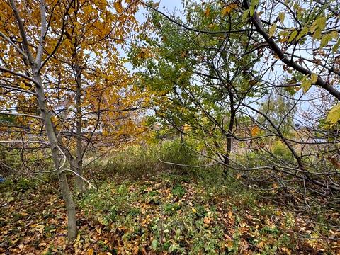 участок по адресу Борисоглібська