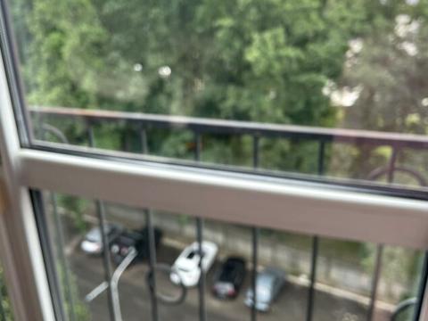 квартира по адресу Софиевский пер., 17/25