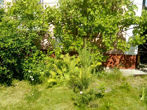 дом по адресу Рибальська