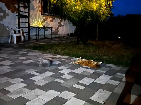 будинок за адресою Лоцманська вул.