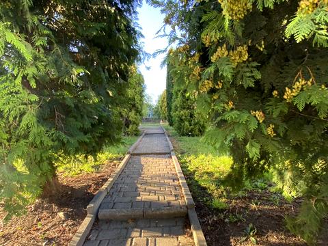 квартира за адресою Тролейбусна, 26