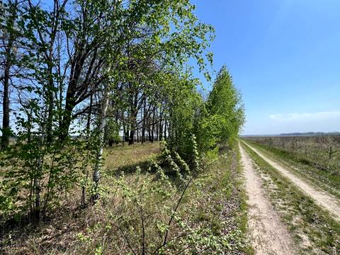 участок по адресу 