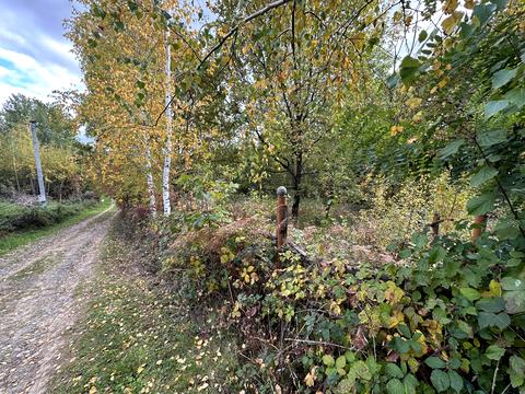 ділянка за адресою Джерельна