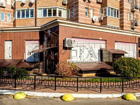 коммерческая по адресу Голосеевская ул., 13