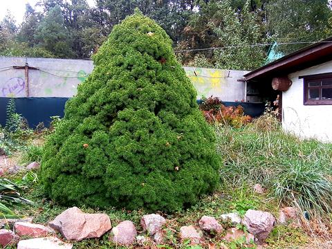 будинок за адресою Східна