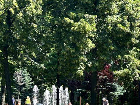 квартира по адресу Шполянская ул., 6