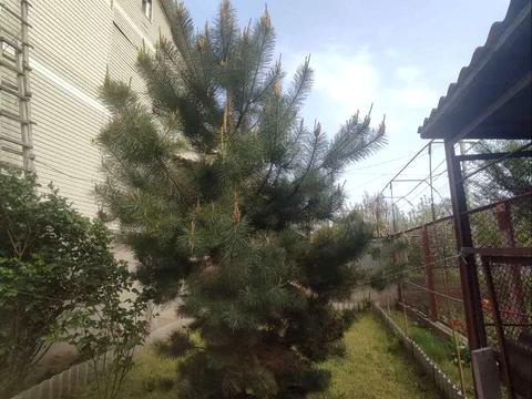 будинок за адресою Одеса, Рожева вул.