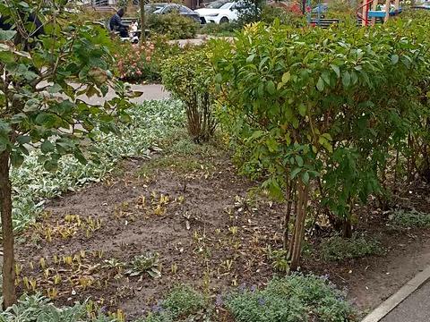 квартира по адресу Приозёрный бульв., 3