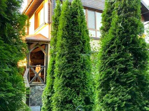 дом по адресу науки