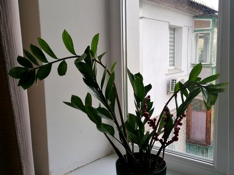 квартира за адресою Краківська вул., 14/6