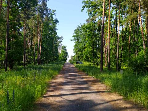 участок по адресу Лісова