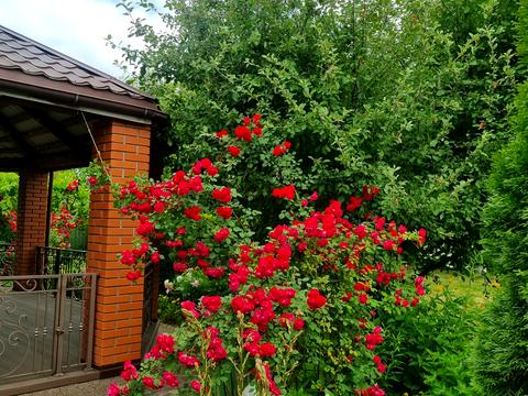 будинок за адресою Абрикосова вул., 1