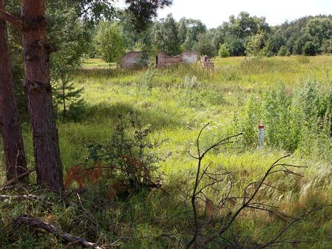 участок по адресу Остер, Одинця, 136