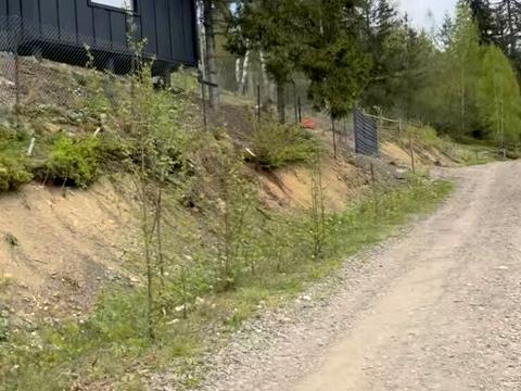 ділянка за адресою Лесі Українки
