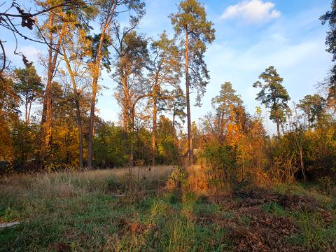 ділянка за адресою Мрії вул.