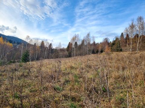 ділянка за адресою с. Орявчик, Князя Святослава вул.