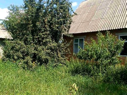 будинок за адресою с. Пилипче, Миру, 3