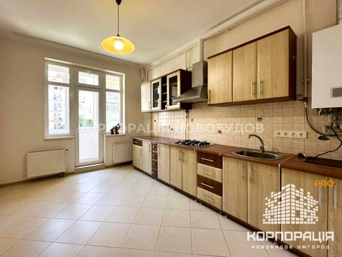 квартира по адресу Ужгород, Хіри, 1