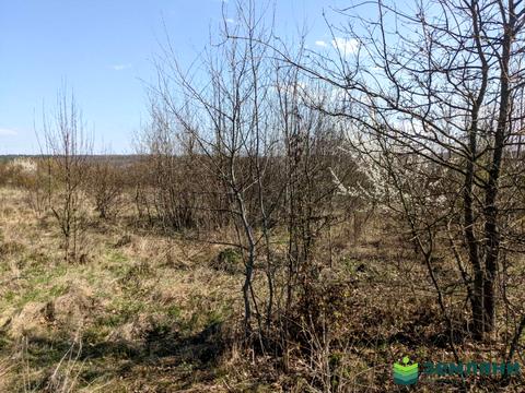ділянка за адресою с. Павлівка, 