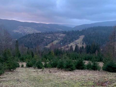 участок по адресу Стави
