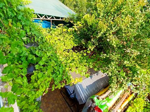 дом по адресу Центральная ул.