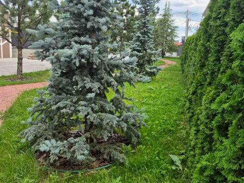 квартира за адресою Богдана Хмельницького вул., 23