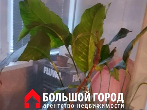 квартира за адресою Богдана Завады, 12