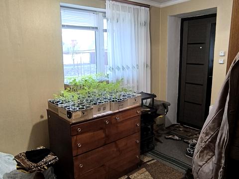 дом по адресу Павла Сницара ул., 57
