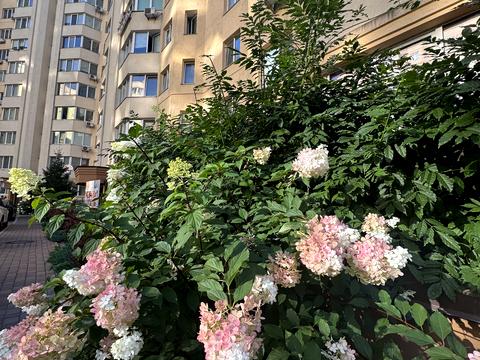 квартира по адресу Боголюбова, 14