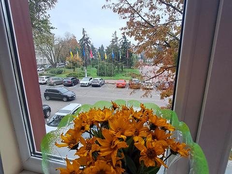 квартира за адресою Патріарха Йосифа Сліпого вул., 1