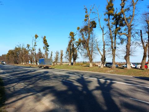 ділянка за адресою Хмельницьке шосе